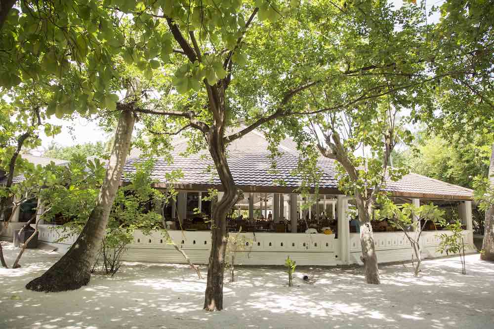 Main Restaurant
